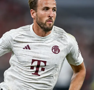 标志着他们 标志着他们